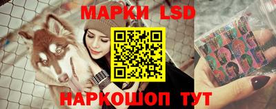 стафф Новодвинск