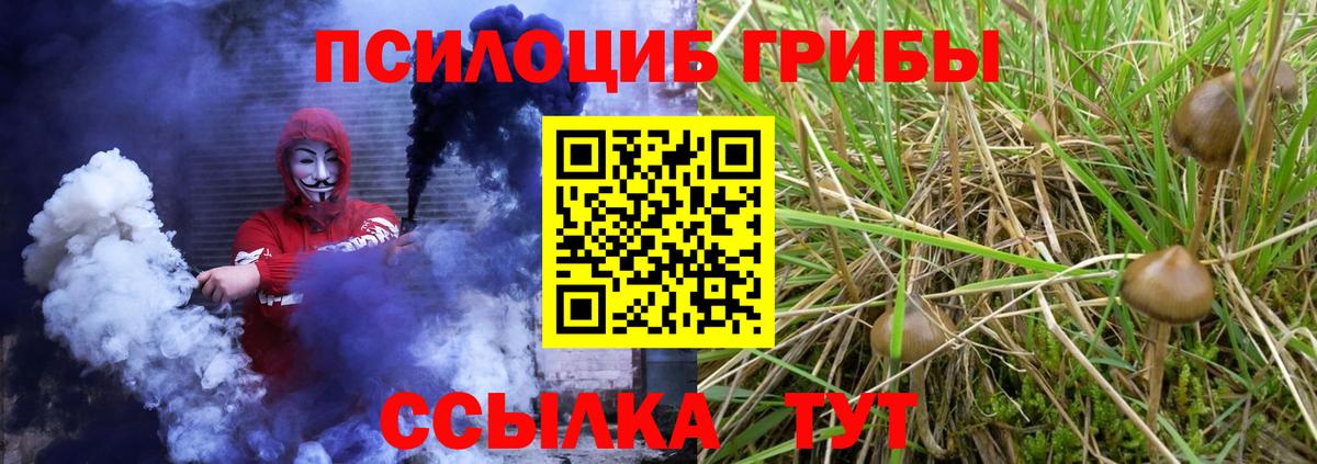 Галлюциногенные грибы Psilocybe  Галлюциногенные грибы GOLDEN TEACHER  Ржев  Вход с VPN 